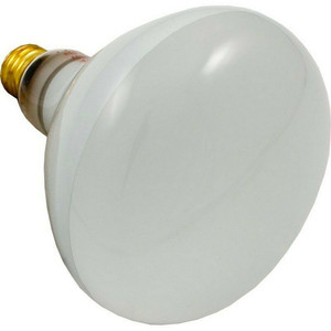 Hayward 500W, 120V, Medium Base Bulb, SPX0504Z7