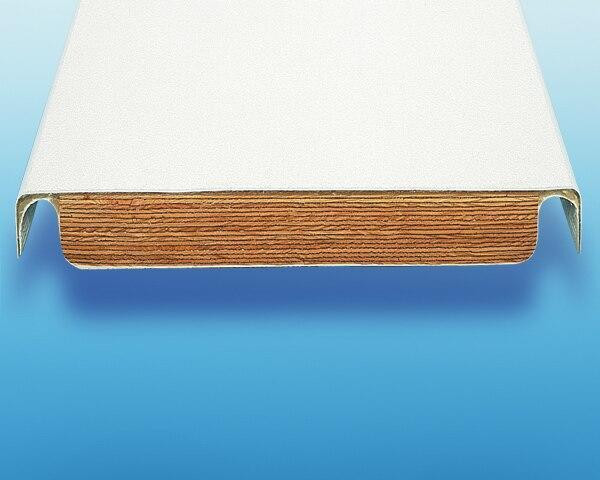 SR Smith Frontier III 10 Ft Diving Board