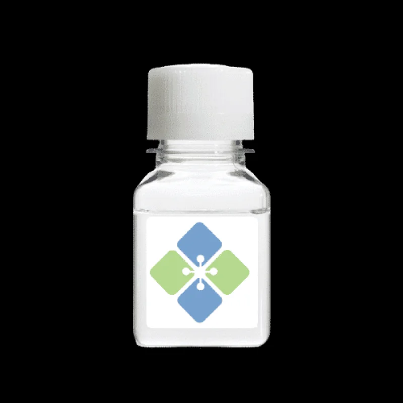 Tyrosine Hydroxylase Antibody