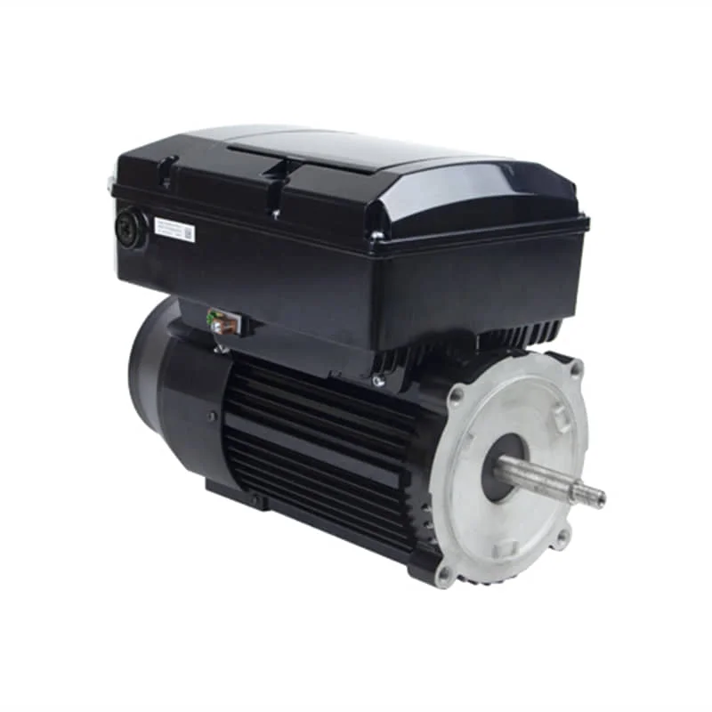 U.S. Motors Nidec 1.65 THP 115/230V Variable Speed 48Y Frame Motor, NPTT165
