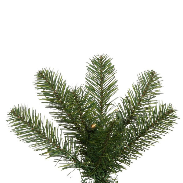 Vickerman Salem Pencil Pine 7.5' with 300 Warm White LED Lights