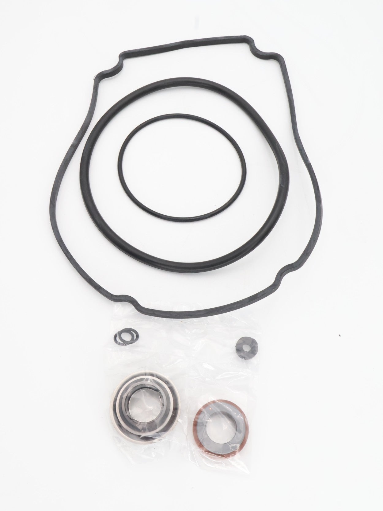 Waterway Tune Up Kit for Power Defender, Mustang, Champion, and SMF Pumps 100-7710