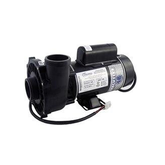 Waterway Executive1.5HP 2 Speed 115 volt