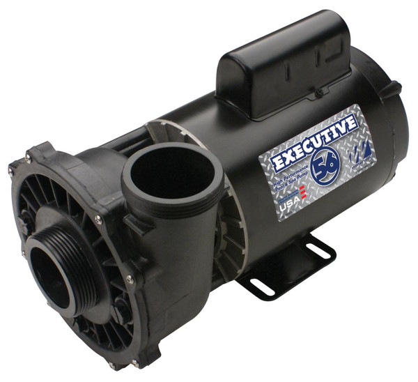 Waterway Executive5 HP 2 Speed 230 volt
