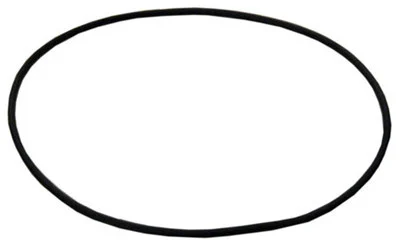 Zodiac Oring For 1 Piece Cap | W13061